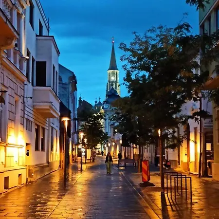Camino Kluż-Napoka