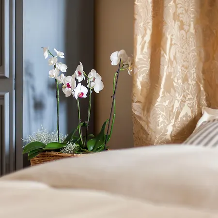 Camino Hotel apartamentowy Kluż-Napoka