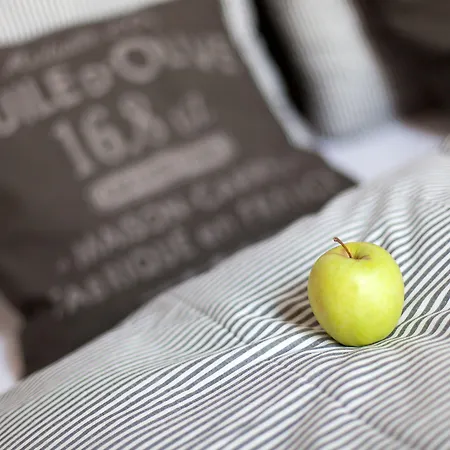 Camino 4* Kluż-Napoka