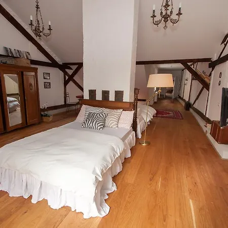 Camino Apart Otel Kaloşvar