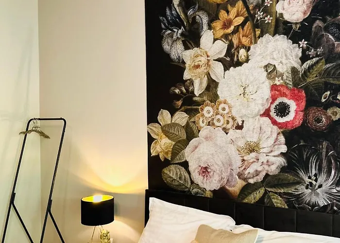 Camino 4* Клуж-Напока