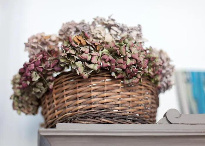 Camino Клуж-Напока